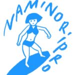 naminoripro11